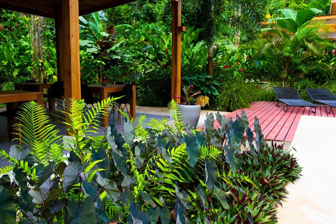 La Paz Del Caribe Adults Only Bed & Breakfast Puerto Viejo de Talamanca Ngoại thất bức ảnh