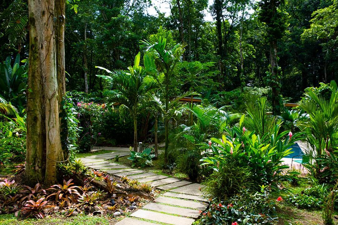 La Paz Del Caribe Adults Only Bed & Breakfast Puerto Viejo de Talamanca Ngoại thất bức ảnh