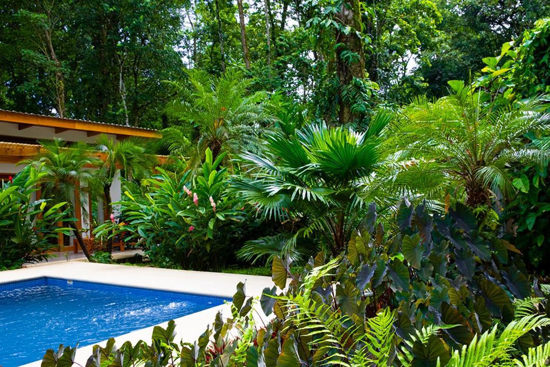 La Paz Del Caribe Adults Only Bed & Breakfast Puerto Viejo de Talamanca Ngoại thất bức ảnh