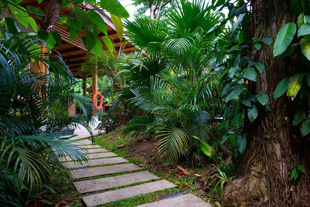 La Paz Del Caribe Adults Only Bed & Breakfast Puerto Viejo de Talamanca Ngoại thất bức ảnh
