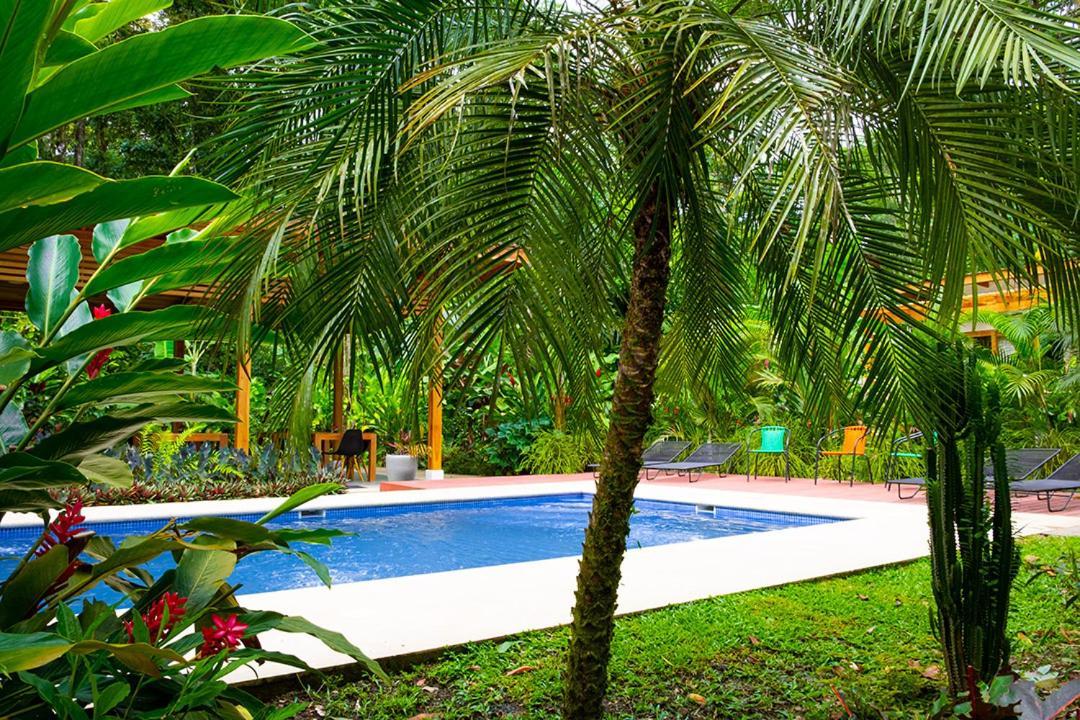 La Paz Del Caribe Adults Only Bed & Breakfast Puerto Viejo de Talamanca Ngoại thất bức ảnh