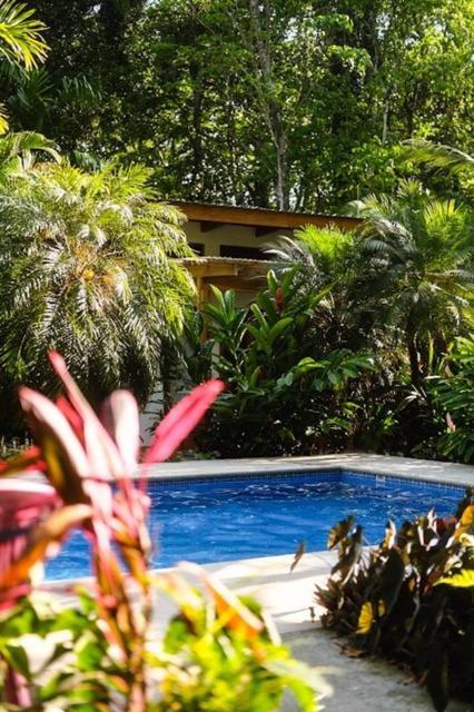 La Paz Del Caribe Adults Only Bed & Breakfast Puerto Viejo de Talamanca Ngoại thất bức ảnh