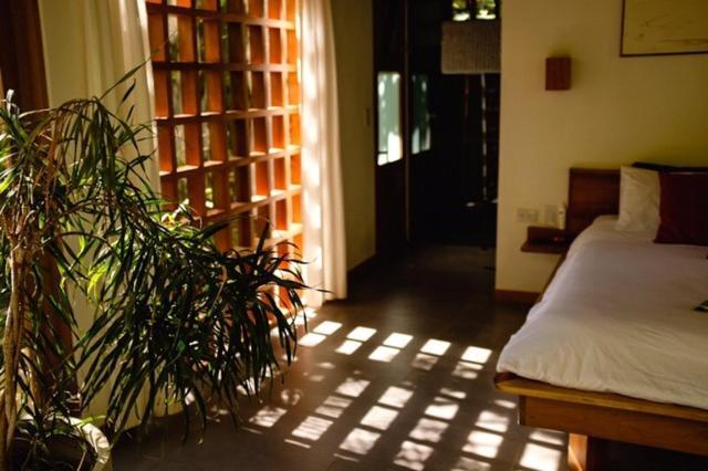 La Paz Del Caribe Adults Only Bed & Breakfast Puerto Viejo de Talamanca Ngoại thất bức ảnh