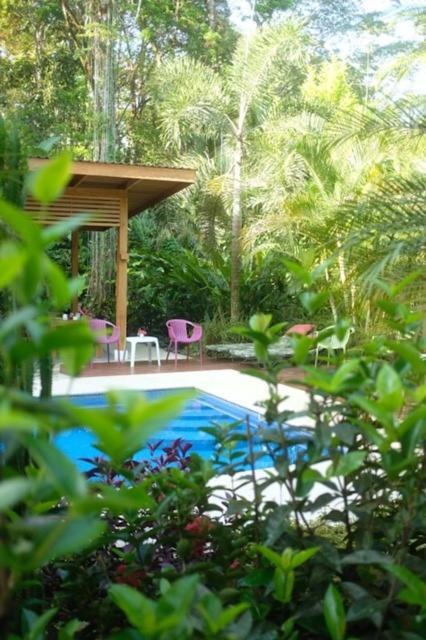 La Paz Del Caribe Adults Only Bed & Breakfast Puerto Viejo de Talamanca Ngoại thất bức ảnh