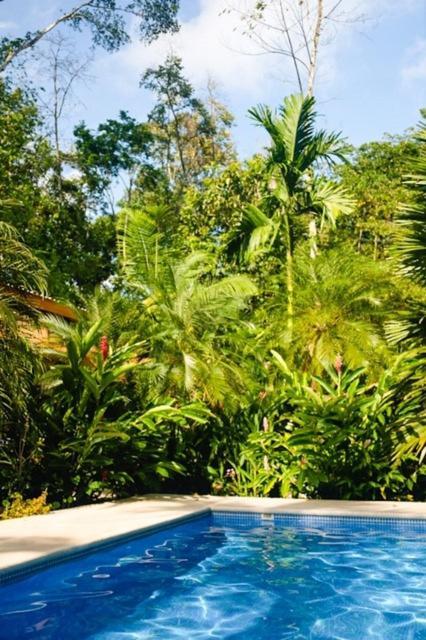 La Paz Del Caribe Adults Only Bed & Breakfast Puerto Viejo de Talamanca Ngoại thất bức ảnh