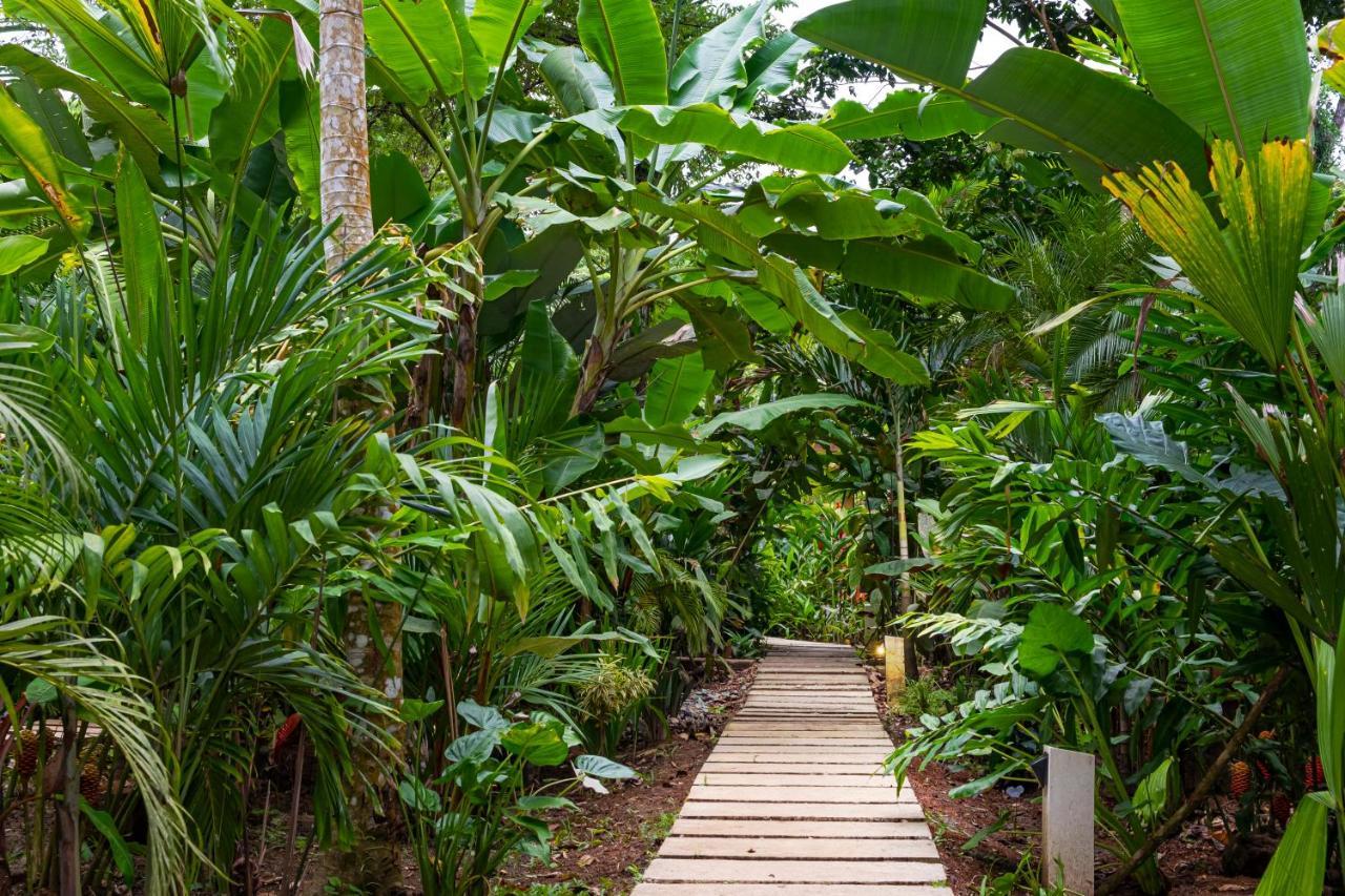 La Paz Del Caribe Adults Only Bed & Breakfast Puerto Viejo de Talamanca Ngoại thất bức ảnh
