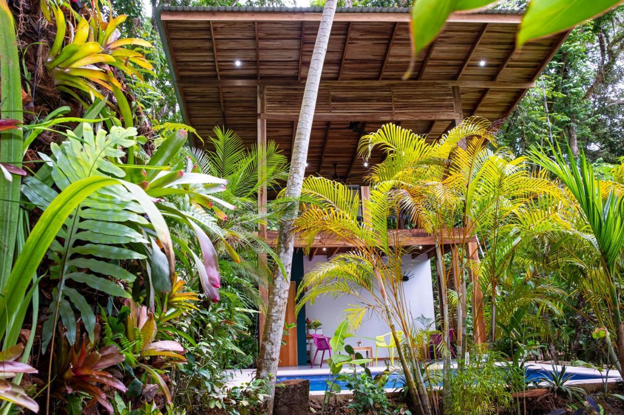 La Paz Del Caribe Adults Only Bed & Breakfast Puerto Viejo de Talamanca Ngoại thất bức ảnh