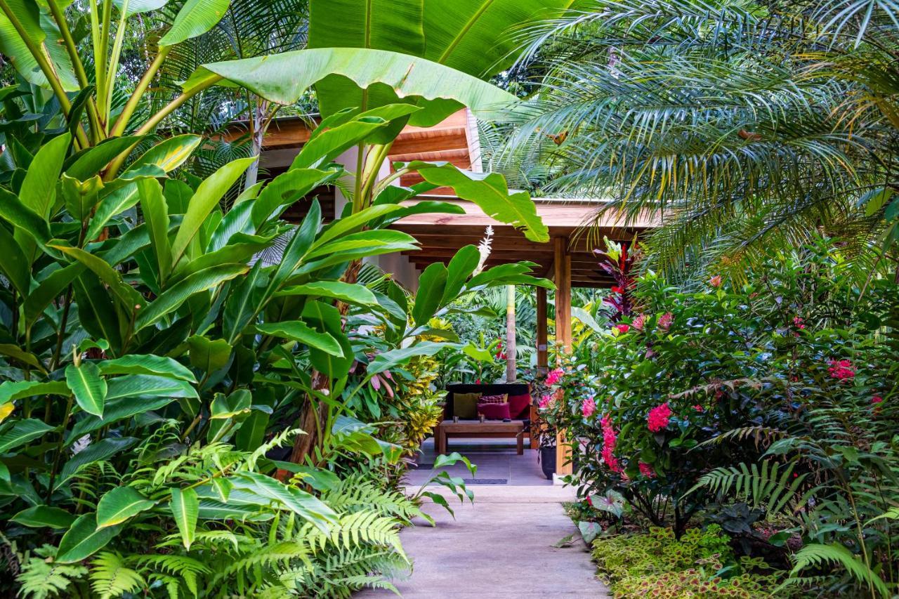 La Paz Del Caribe Adults Only Bed & Breakfast Puerto Viejo de Talamanca Ngoại thất bức ảnh