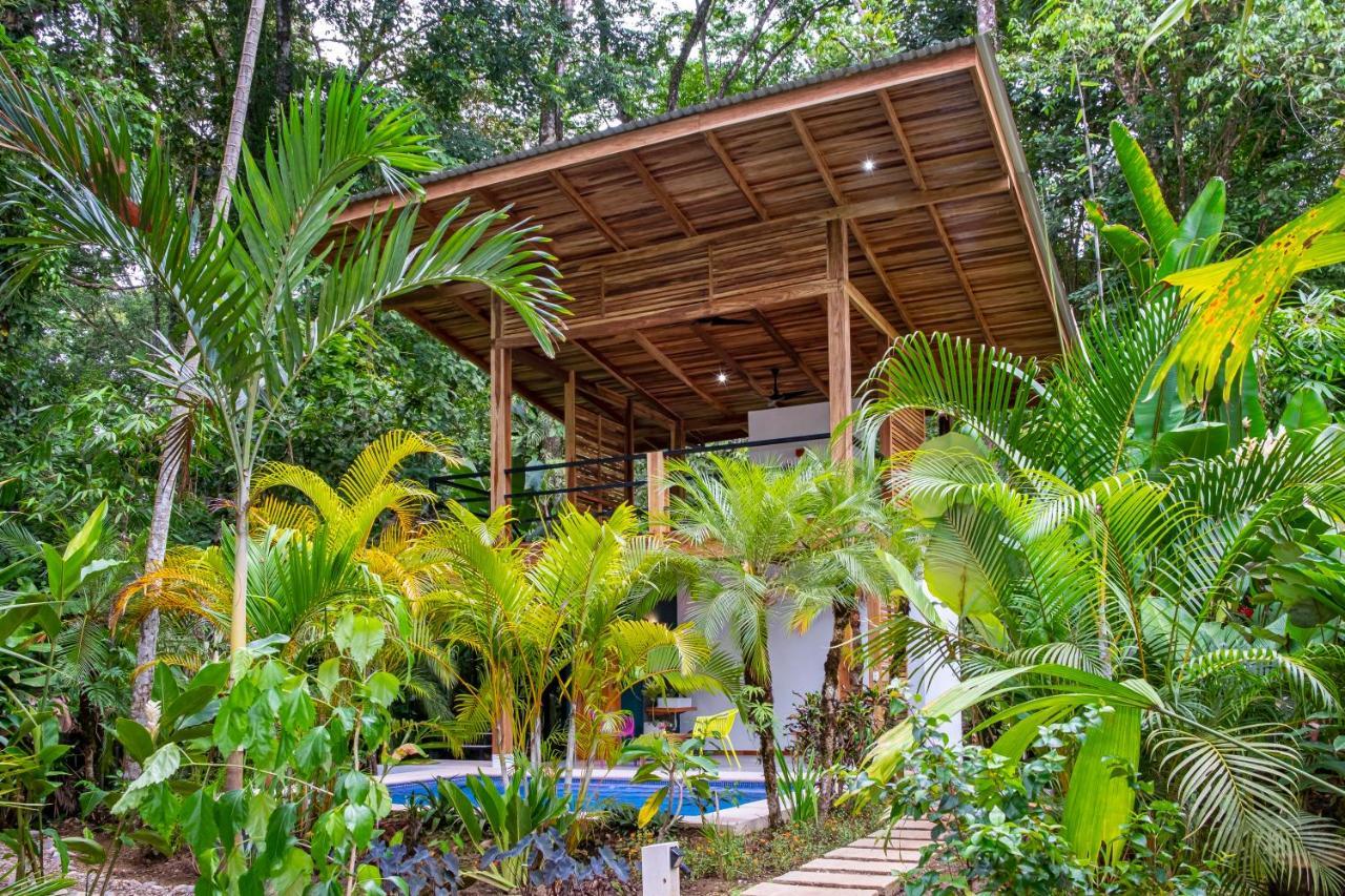 La Paz Del Caribe Adults Only Bed & Breakfast Puerto Viejo de Talamanca Ngoại thất bức ảnh