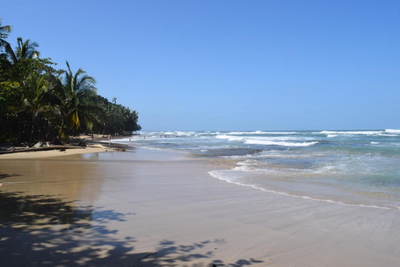 La Paz Del Caribe Adults Only Bed & Breakfast Puerto Viejo de Talamanca Ngoại thất bức ảnh